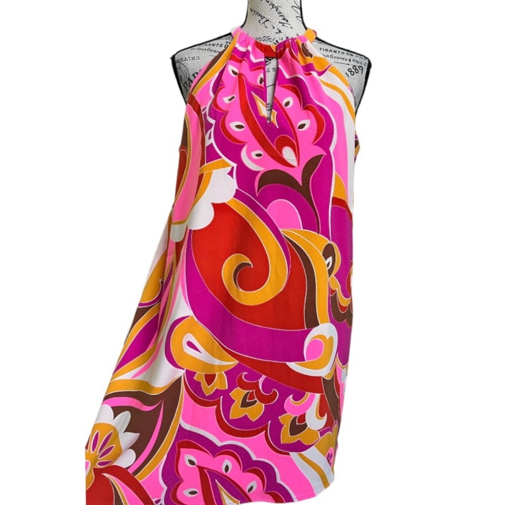 Express Dress - Picture 6 of 15